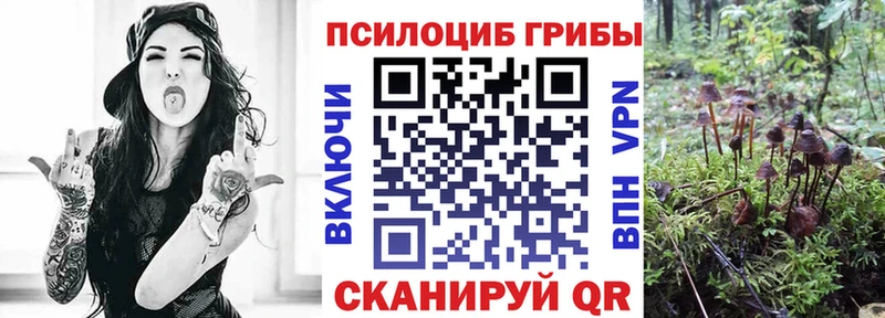 MEGA онион  Королёв  Галлюциногенные грибы мухоморы 